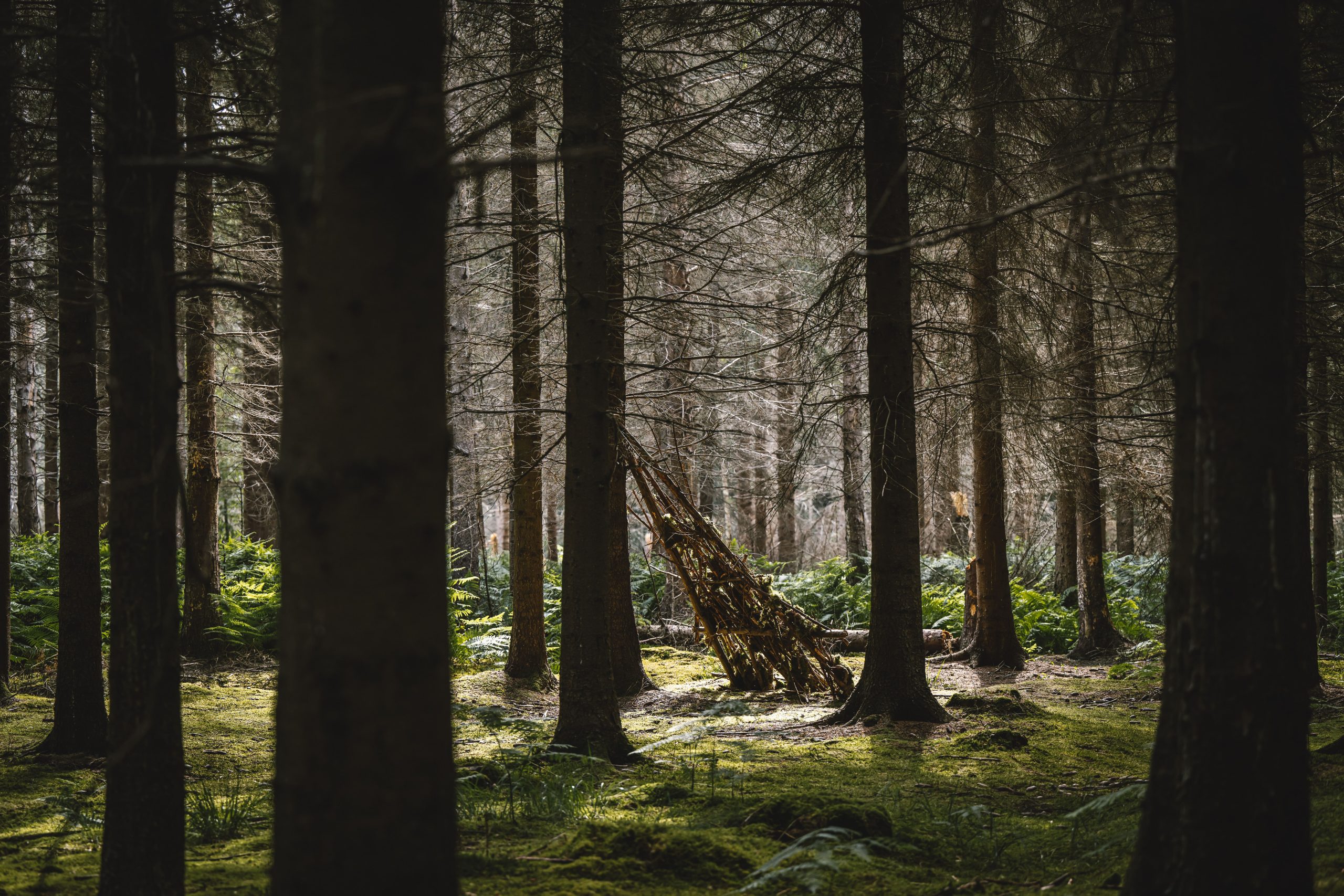 Environnement, prévention des risques naturels et éco-responsabilité