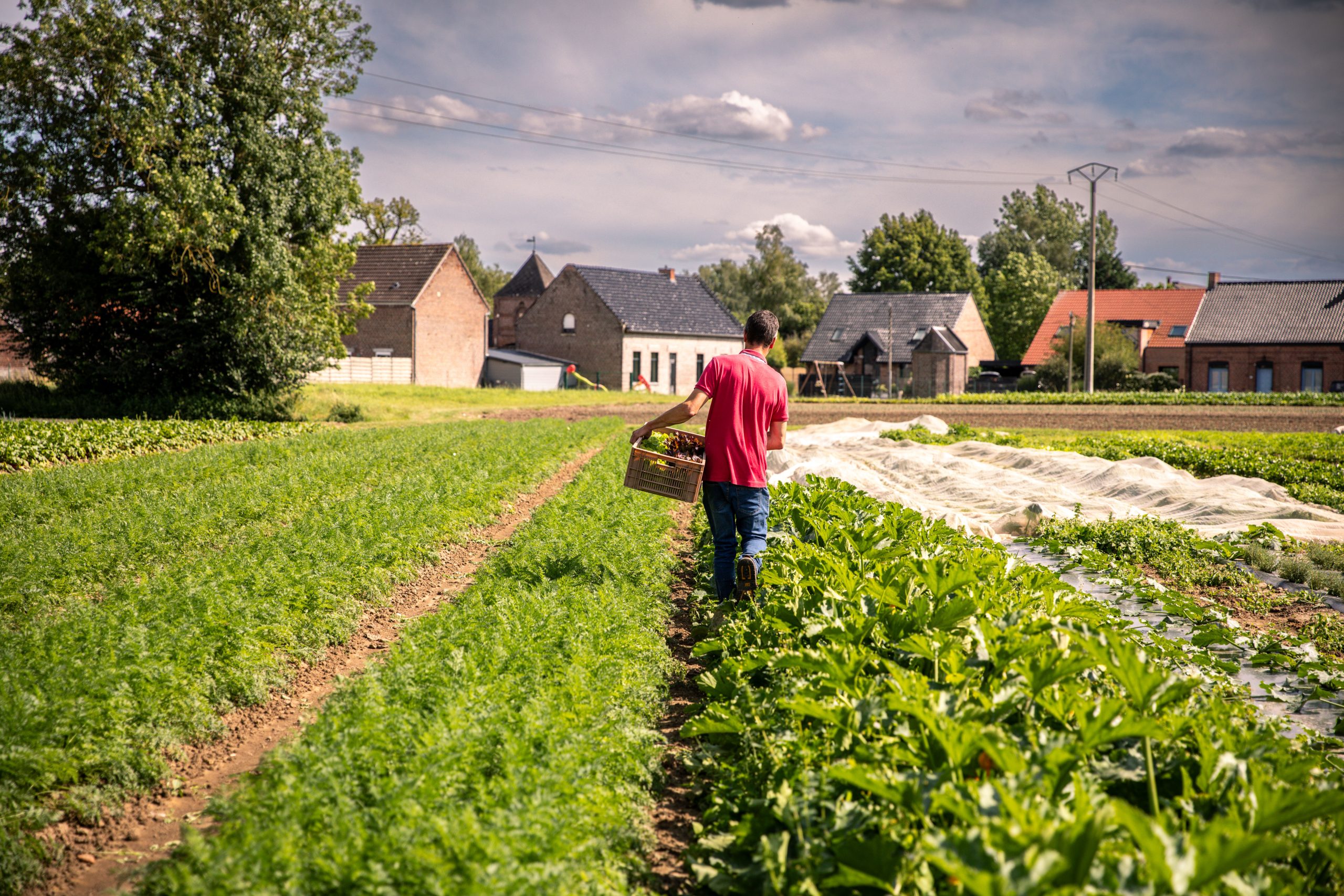Développement rural, agriculture et circuits courts