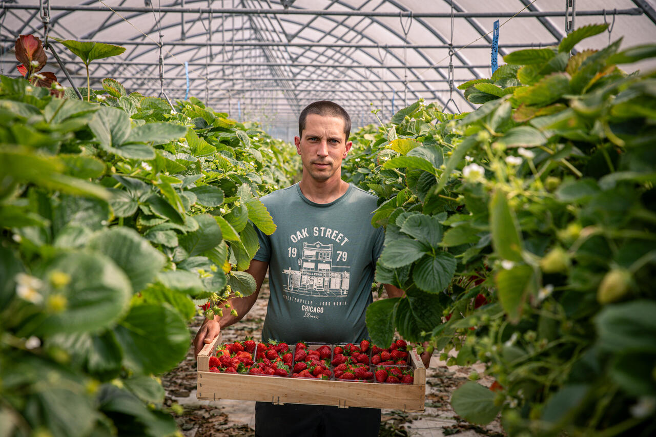 Le guide des producteurs locaux du valenciennois est arrivé