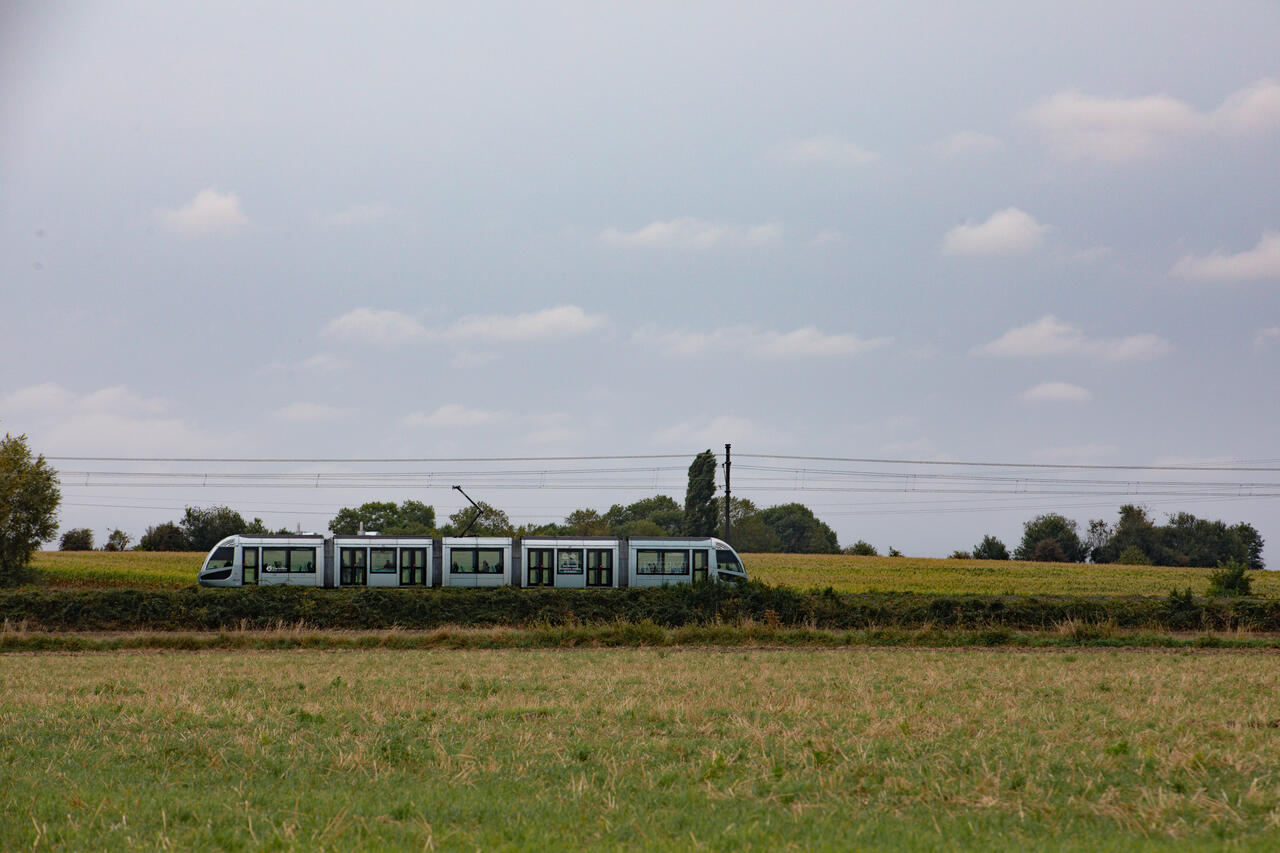 Gratuité des transports en commun